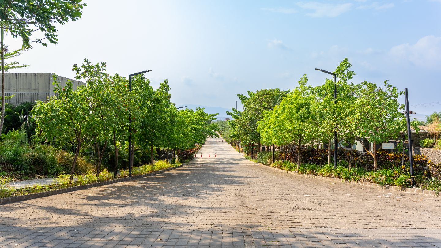 Tree lined internal road at 46 Banyan Tree