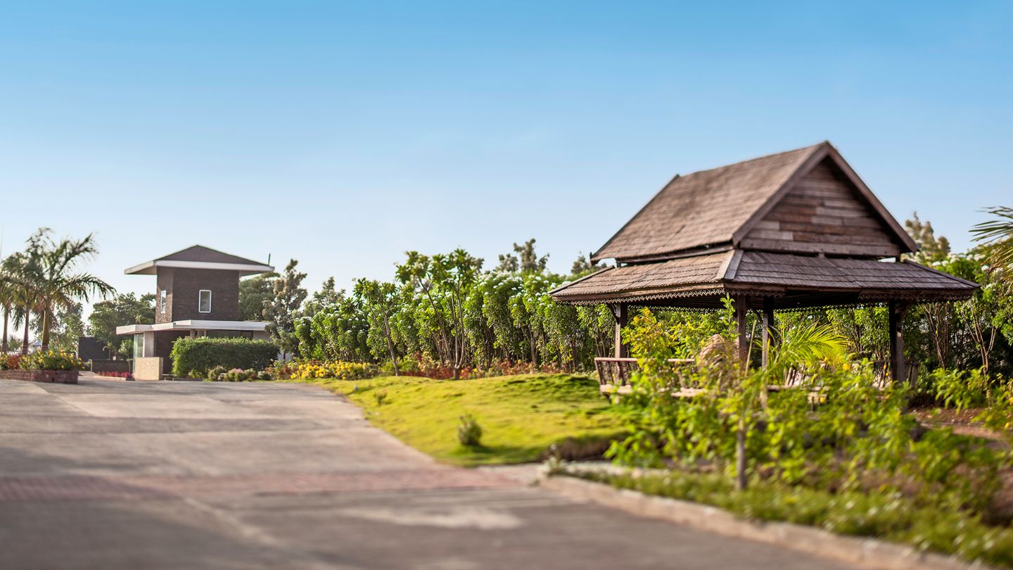 Tree lined internal road at 86 Banyan Tree