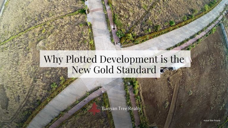 Plotted development Banyan tree