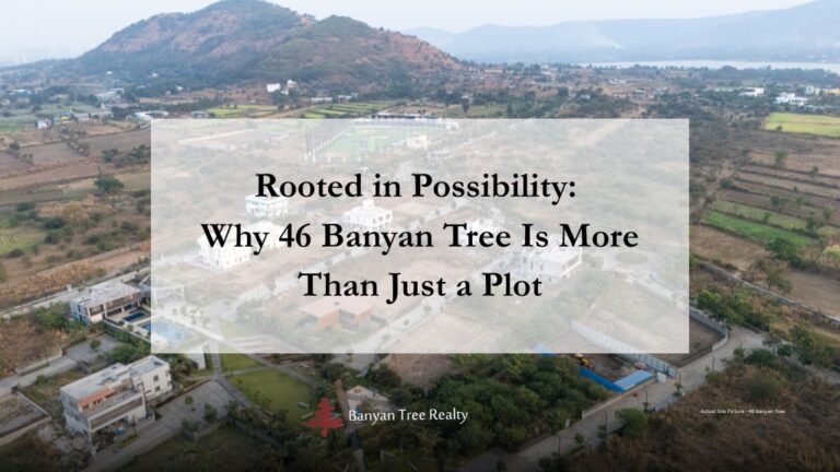 Rooted in Possibility: Why 46 Banyan Tree Is More Than Just a Plot